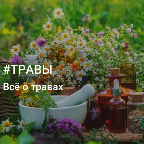 #ТРАВЫ