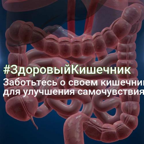 #ЗдоровыйКишечник