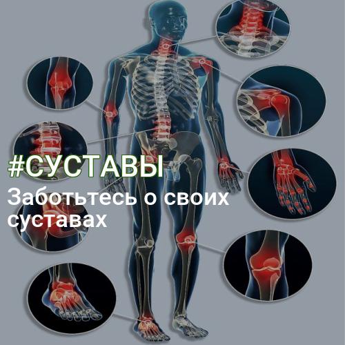 #СУСТАВЫ